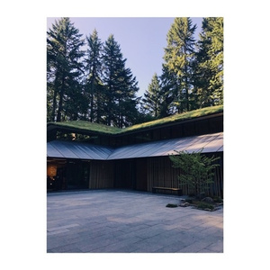 大鸡巴射精高潮汇编体育生
