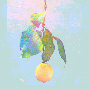 大鸡巴射精高潮汇编体育生
